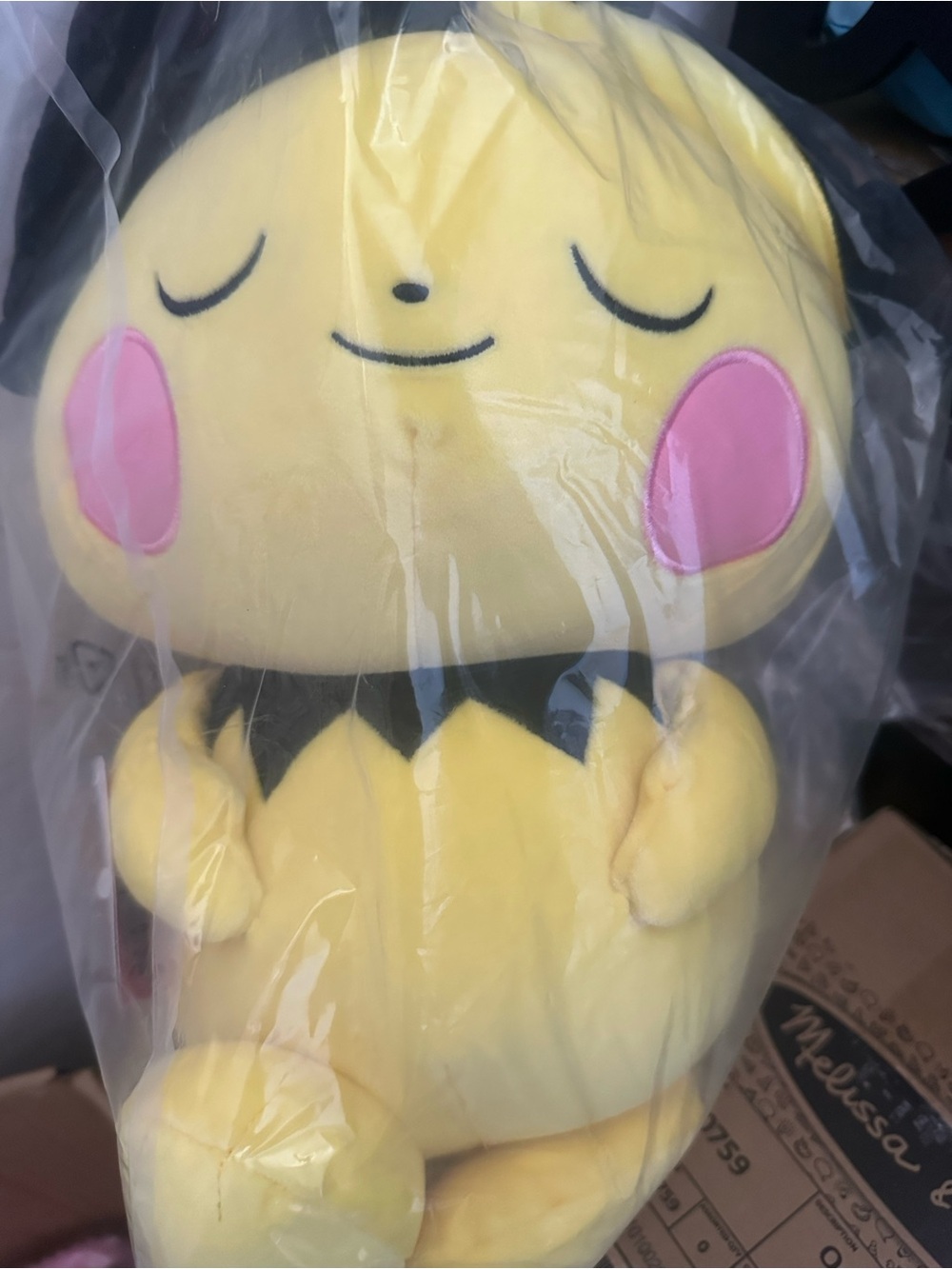 New pokemon plush